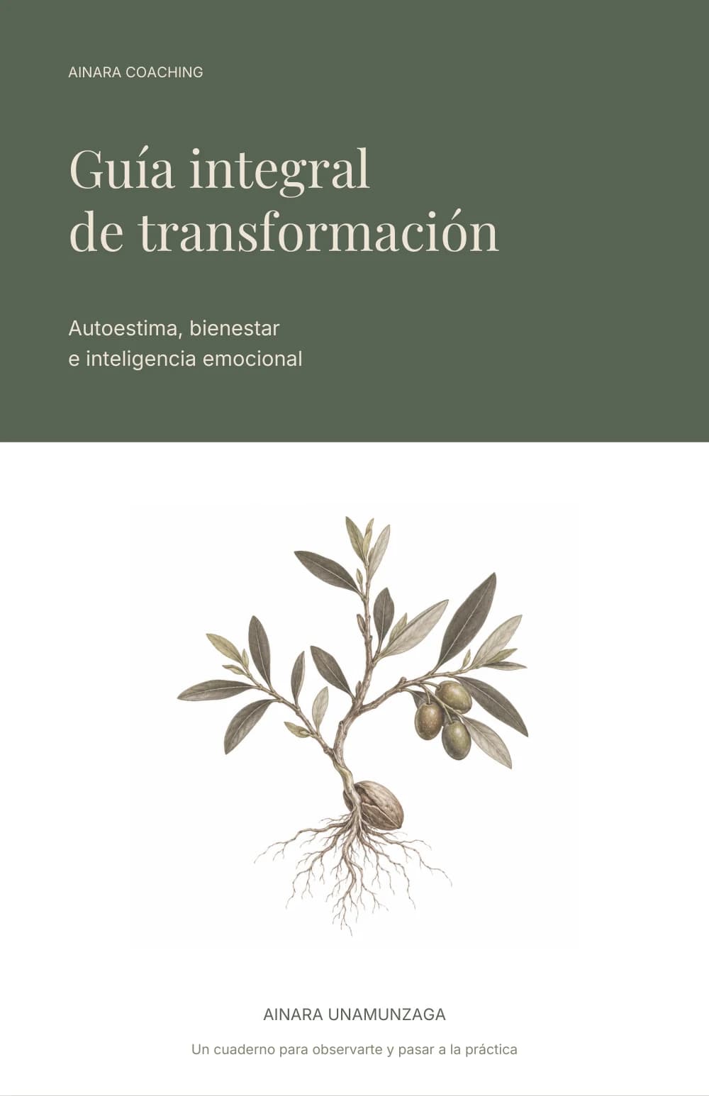 Portada real de Guía integral de transformación